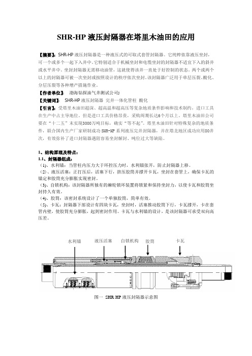 SHR-HP封隔器在塔里木油田的应用