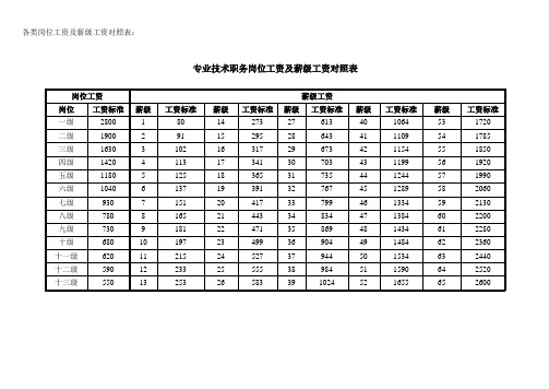 专业技术职务岗位工资及薪级工资对照表【范本模板】