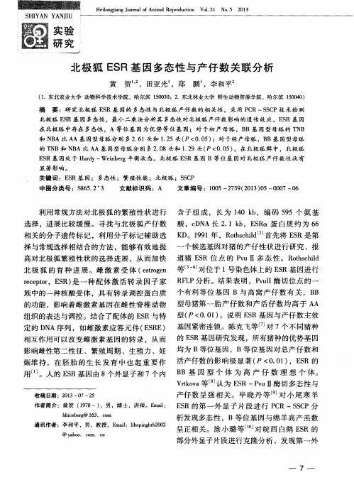 北极狐ESR基因多态性与产仔数关联分析