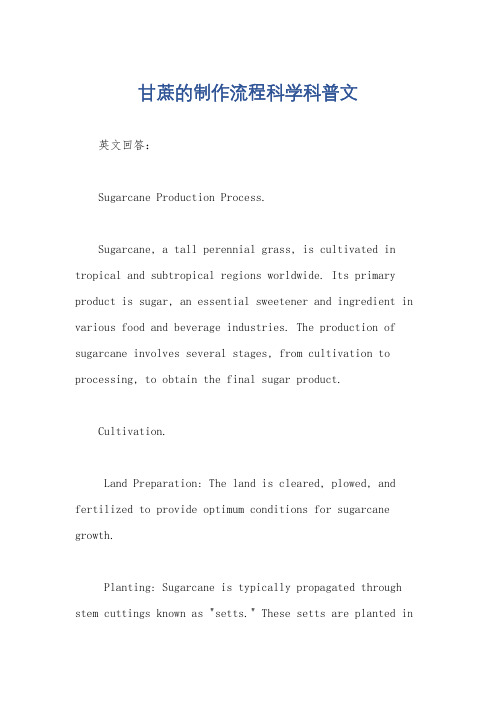 甘蔗的制作流程科学科普文