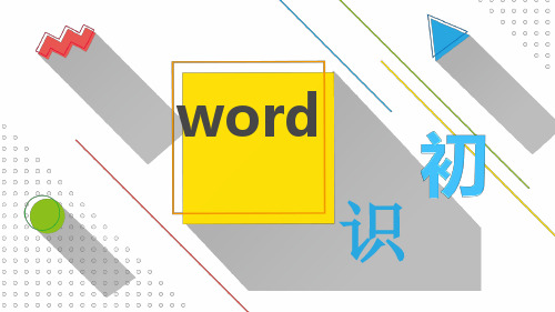 初识word2010最新优质PPT课件