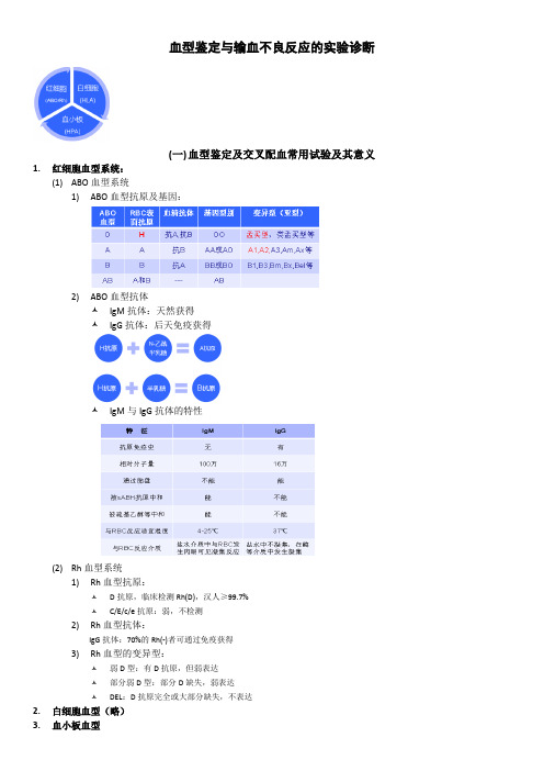 血型鉴定与输血不良反应的实验诊断