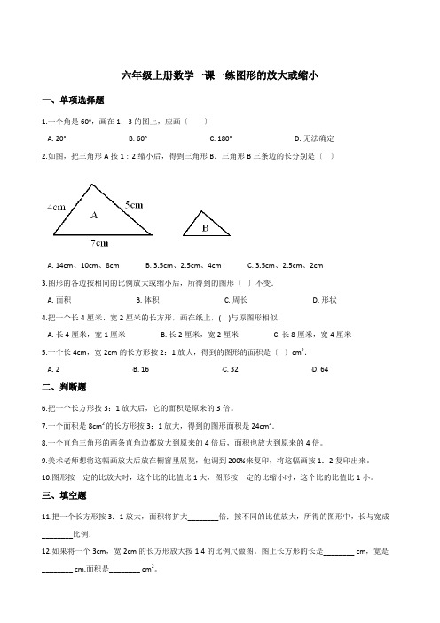 2022年六年级上册数学同步练习 5 1图形的放大或缩小  西师大版(含答案) (1)