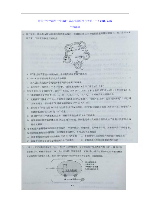 贵州省凯里市第一中学、贵阳一中2017届高三上学期适应性月考(一)理综-生物试题