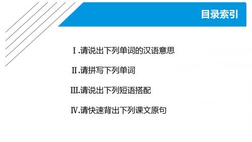 2019-2020学年新素养导学英语课件  讲义 精练 (230)