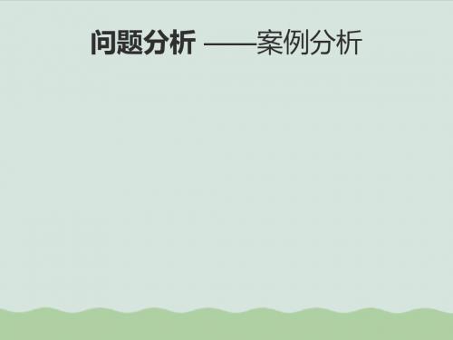 企业经典案例分析ppt(共17页)