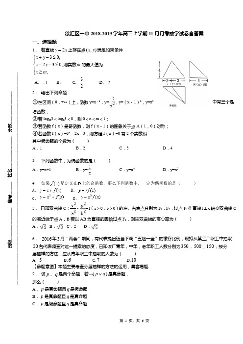 徐汇区一中2018-2019学年高三上学期11月月考数学试卷含答案