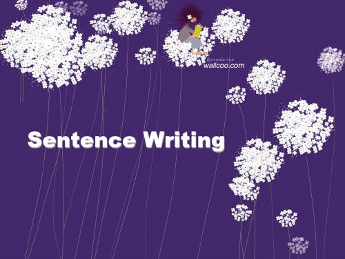 Sentence Writing 1