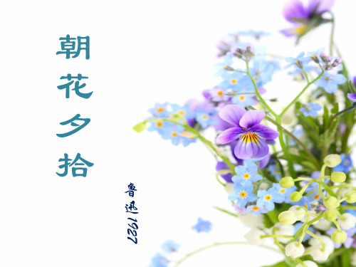 人教版八年级上册《朝花夕拾》课件