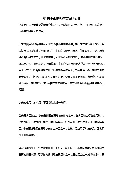 小麦有哪些种类及应用