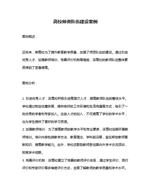 高校师资队伍建设案例