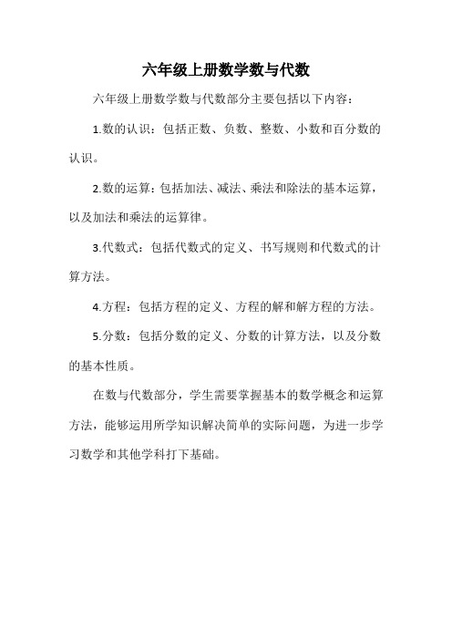 六年级上册数学数与代数