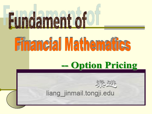 金融衍生品定价理论(同济-英文版)第二章(arbitrage-free principal)上课教案精品文档65页