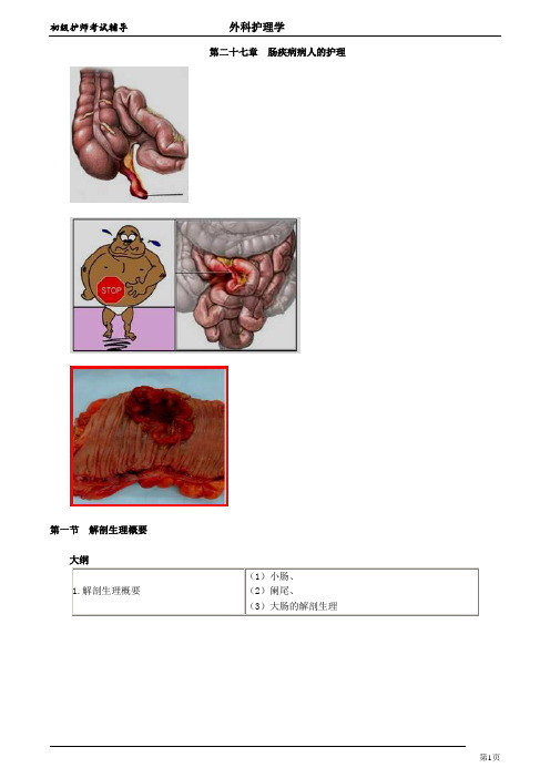 初级护师考试辅导 第27章 肠疾病病人的护理(讲义)