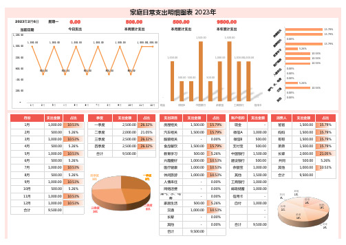 家庭每月支出统计图表(选择输入 自动分类 多项汇总  可视图表)