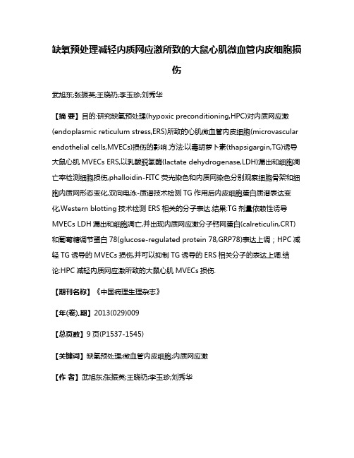 缺氧预处理减轻内质网应激所致的大鼠心肌微血管内皮细胞损伤