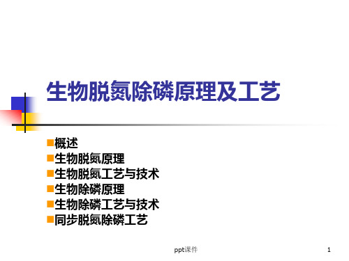 污水生物脱氮除磷原理及工艺  ppt课件