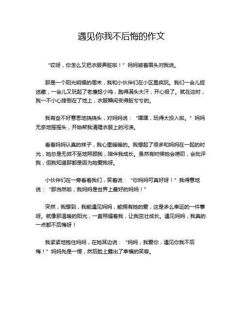 遇见你我不后悔的作文