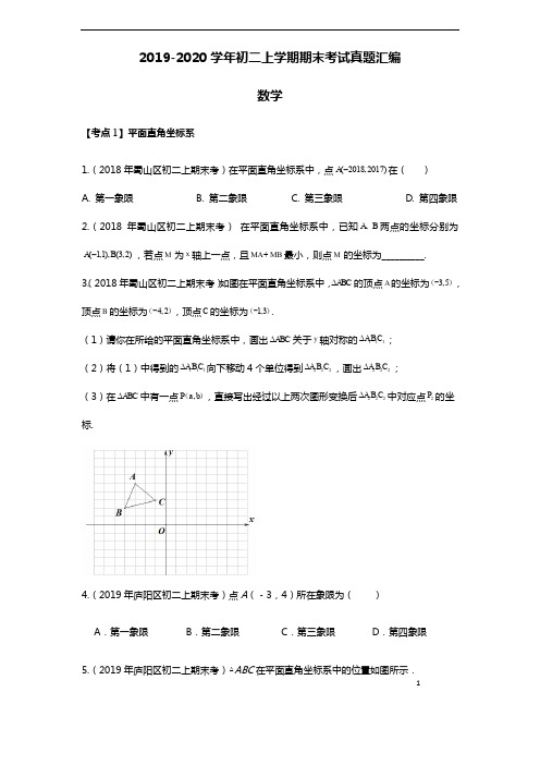 安徽省合肥市各区2019-2020年初二数学上学期期末考试真题汇编全 附解析