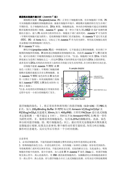 Annexin V和PI染色步骤及注意事项