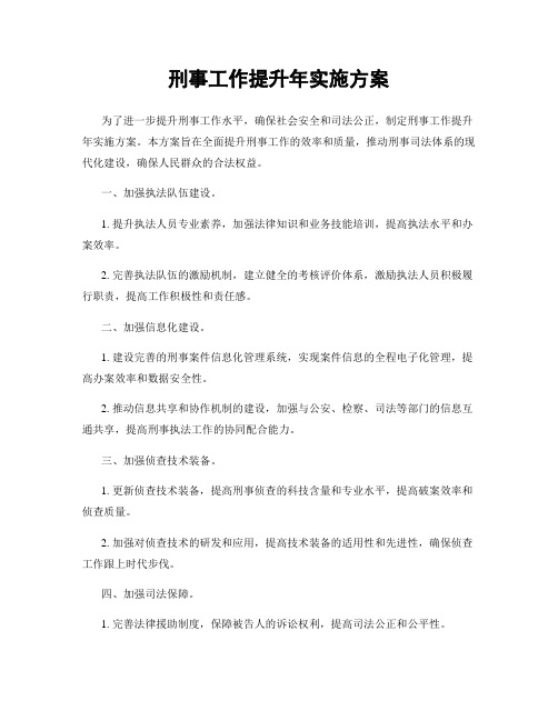 刑事工作提升年实施方案