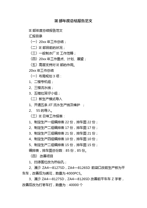 IE部年度总结报告范文