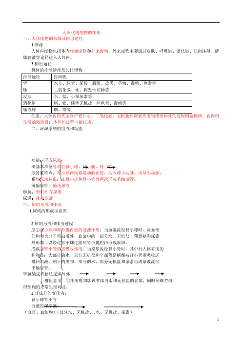 人教版九年级生物中考复习_人体代谢废物的排出知识点总结