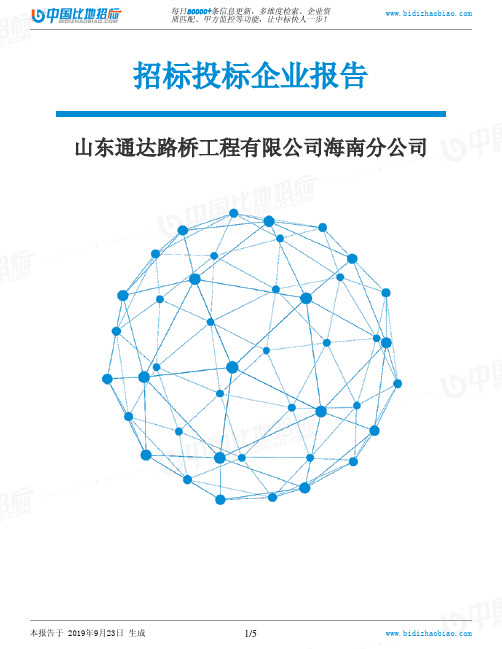 山东通达路桥工程有限公司海南分公司_中标190923