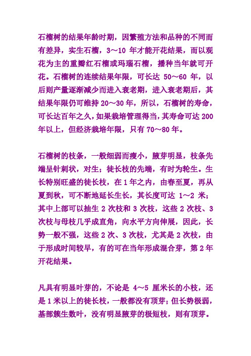 石榴树栽培修剪事项