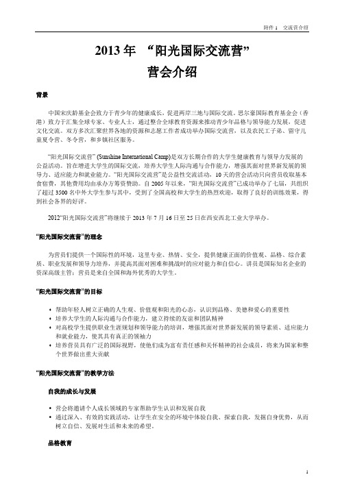 2013年阳光国际交流营