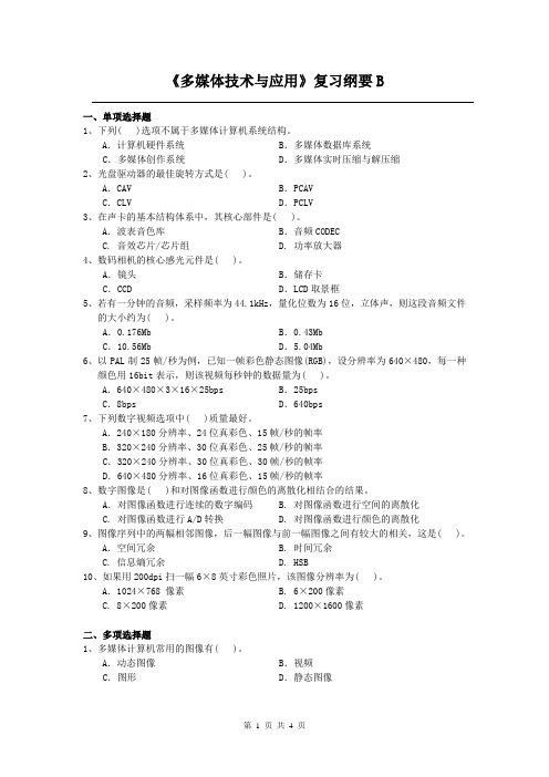 多媒体技术与应用课程复习考试试题及答案B