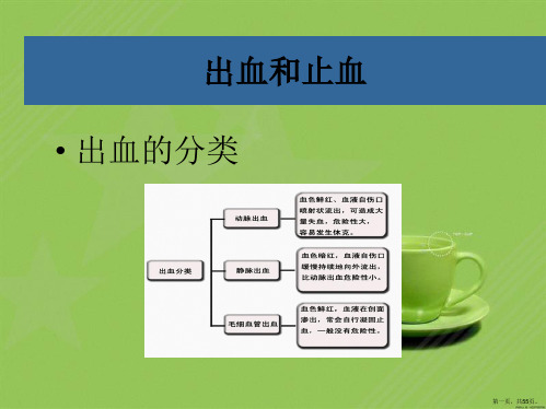 髋关节脱位整复法