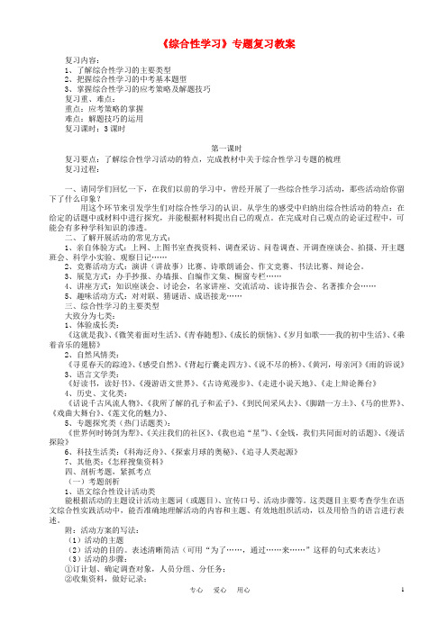 中考语文 《综合性学习》专题复习教案 人教新课标版