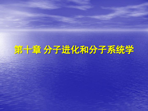 厦门大学进化生物学第10章分子进化和分子系统学