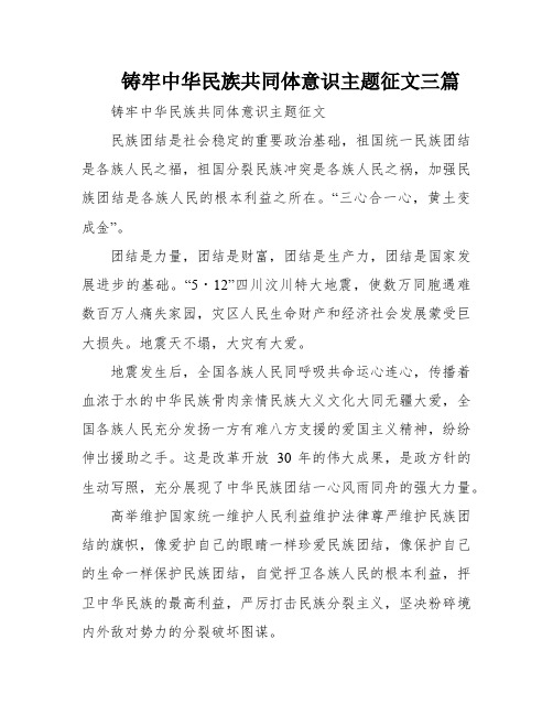 铸牢中华民族共同体意识主题征文三篇