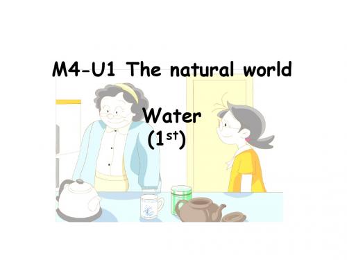 牛津上海版(深圳)五上Unit 11《Water》ppt课件1