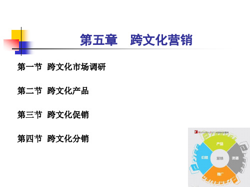 《跨文化管理概论》 第五章 跨文化营销 中文电子课