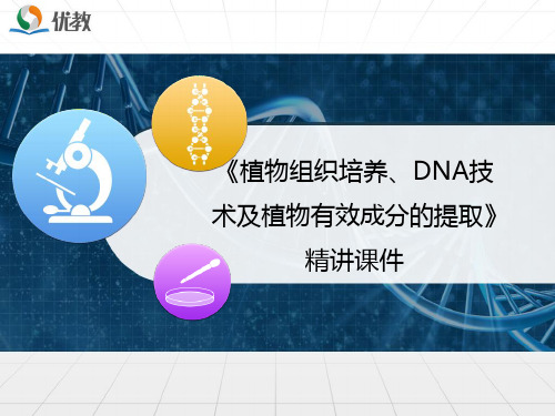 高考生物一轮复习《植物组织培养、DNA技术及植物有效成分的提取》精讲课件