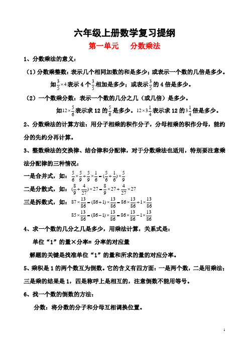 六年级上册数学复习提纲