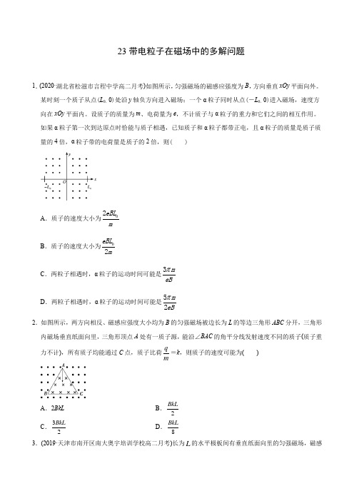 模型23带电粒子在磁场中的多解问题(学生版)-备战2021年高考物理模型专题突破