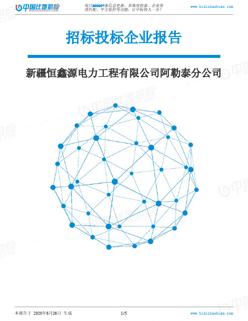 新疆恒鑫源电力工程有限公司阿勒泰分公司-招投标数据分析报告