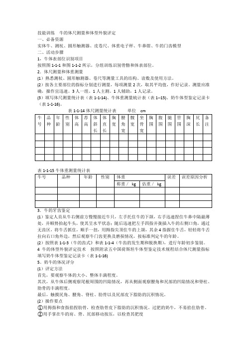 技能训练  牛的体尺测量和体型外貌评定