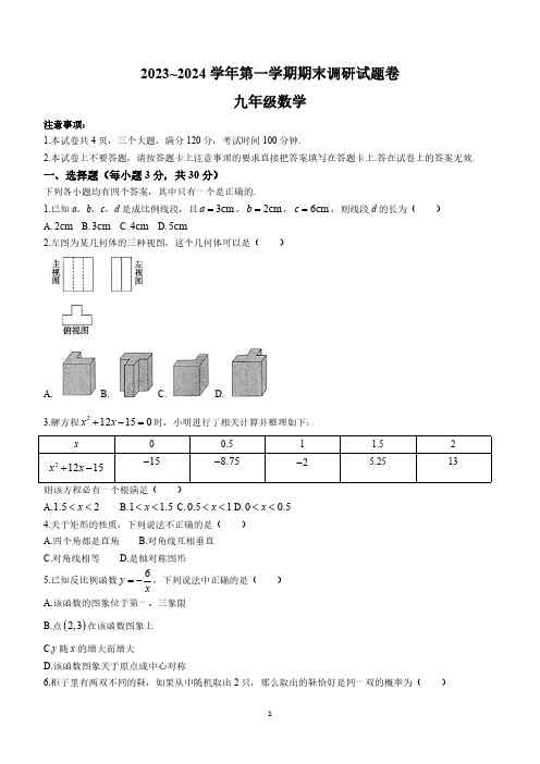 河南省平顶山市2023-2024学年九年级上学期期末数学试题(含答案)