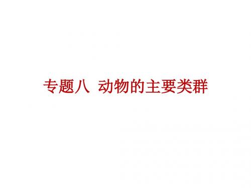 2019年中考生物总复习课件：第九单元 专题八 动物的主要类群(共24张PPT)