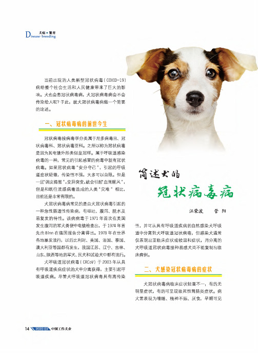 简述犬的冠状病毒病