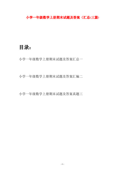 小学一年级数学上册期末试题及答案汇总(三套)