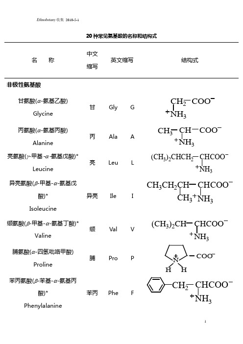 20种常见氨基酸结构式及简写