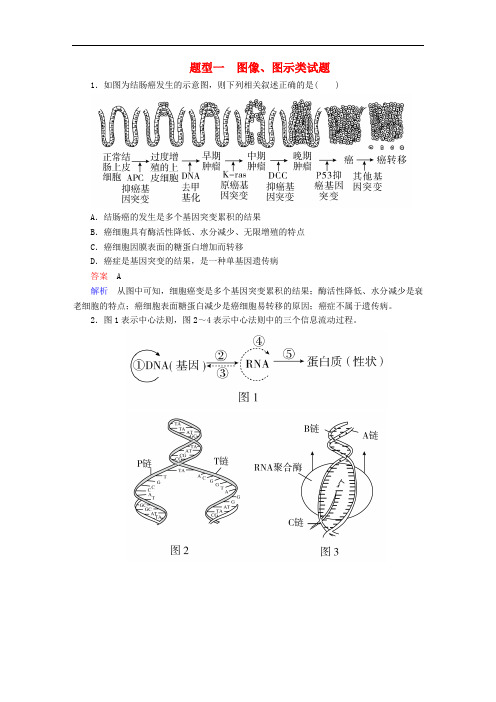 高考生物大二轮复习 常考题型突破 题型1 图像、图示类试题