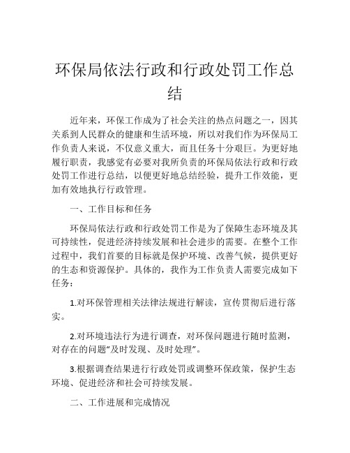 环保局依法行政和行政处罚工作总结