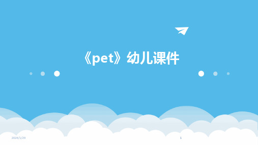 2024版《pet》幼儿课件[1]